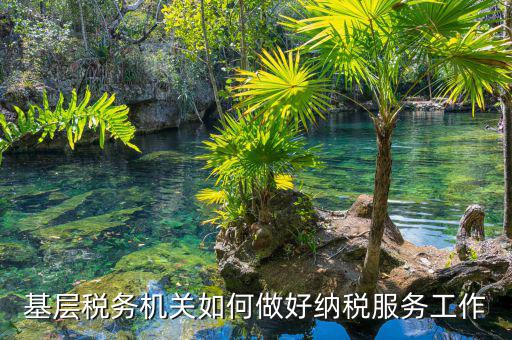 納稅服務(wù)是指什么，納稅服務(wù)的三個(gè)主體是什么