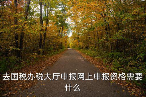 國稅網(wǎng)上申報(bào)用什么資料，去國稅辦稅大廳申報(bào)網(wǎng)上申報(bào)資格需要什么