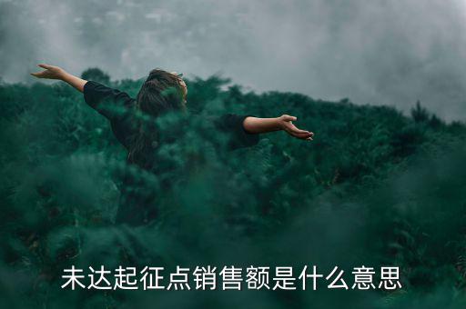 未達起征點通知書什么意思，打印稅務事項通知書未達起征點通知需要什么材料