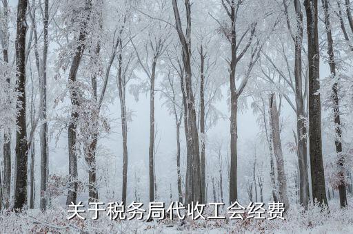 工會(huì)經(jīng)費(fèi)稅務(wù)代收是什么，請(qǐng)問北京稅務(wù)代收工會(huì)經(jīng)費(fèi)繳費(fèi)是按月還是按季度繳