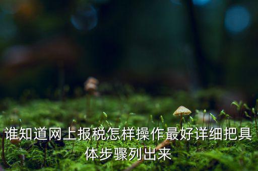 誰(shuí)知道網(wǎng)上報(bào)稅怎樣操作最好詳細(xì)把具體步驟列出來(lái)