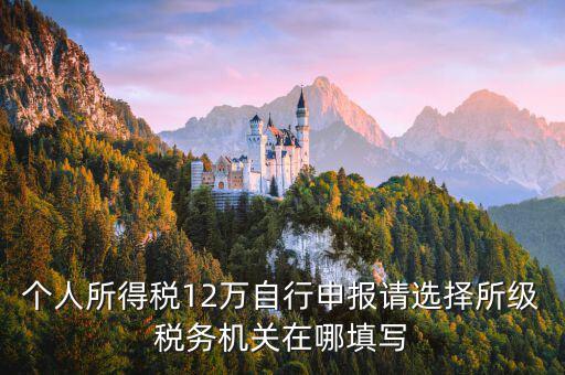 個人所得稅12萬自行申報請選擇所級稅務(wù)機(jī)關(guān)在哪填寫