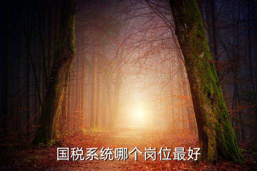 國稅局什么崗位好，國稅局哪個崗位比較好