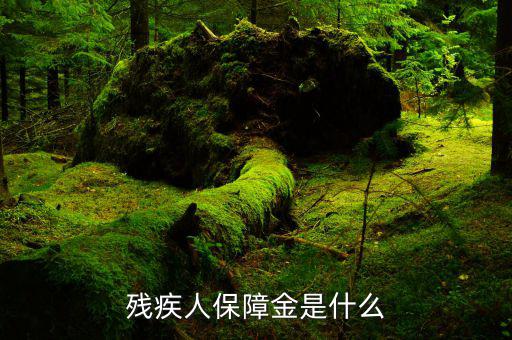 什么叫殘疾人就業(yè)保障金，殘疾人就業(yè)保障金