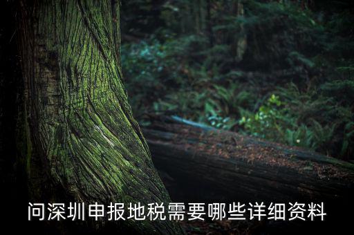 深圳市的地稅申報(bào)是什么，深圳市地稅怎么申報(bào)