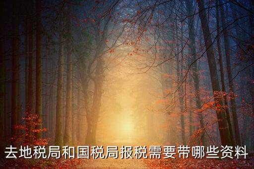 國稅報(bào)稅需要什么材料，去地稅局和國稅局報(bào)稅需要帶哪些資料