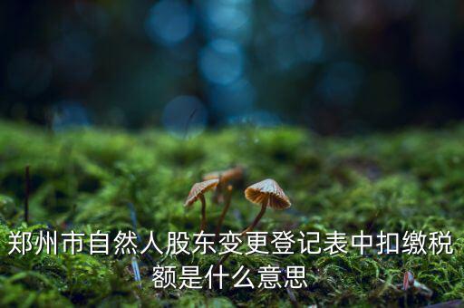 扣繳稅款登記是什么意思，應(yīng)當按照稅收征管法等有關(guān)規(guī)定辦理扣繳稅款登記領(lǐng)取扣繳憑