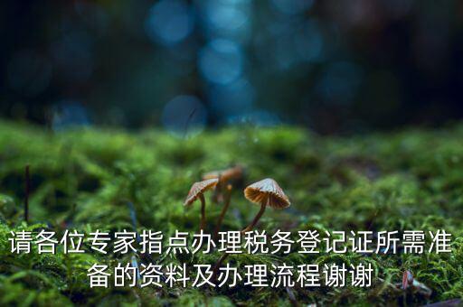 請各位專家指點(diǎn)辦理稅務(wù)登記證所需準(zhǔn)備的資料及辦理流程謝謝