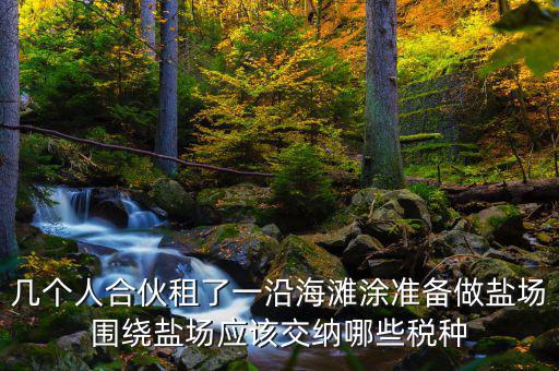 幾個人合伙租了一沿海灘涂準備做鹽場圍繞鹽場應(yīng)該交納哪些稅種