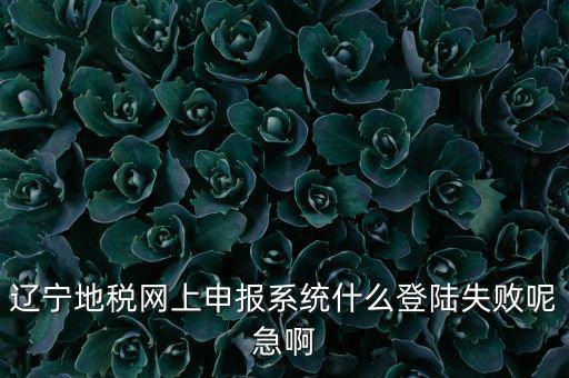 遼寧網(wǎng)上報稅為什么進(jìn)不去，遼寧地稅網(wǎng)上申報系統(tǒng)什么登陸失敗呢急啊
