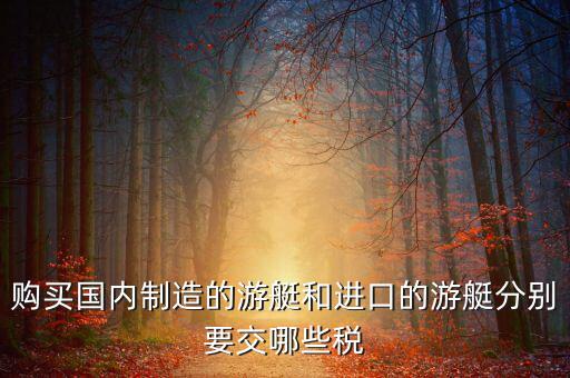 購買國內制造的游艇和進口的游艇分別要交哪些稅