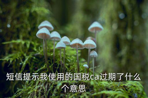短信提示我使用的國(guó)稅ca過期了什么個(gè)意思