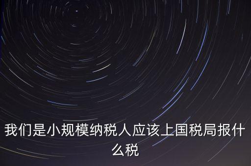 小規(guī)模要報(bào)什么稅，我想問(wèn)問(wèn)小規(guī)模納稅人報(bào)稅需要報(bào)些什么