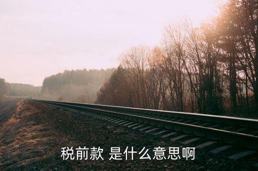 什么是稅前項目費，稅前款 是什么意思啊