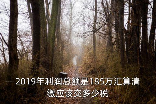 匯算清繳交什么稅，年度匯算清繳應交稅率是多少