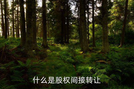 什么是股權(quán)間接轉(zhuǎn)讓，什么是股權(quán)間接轉(zhuǎn)讓