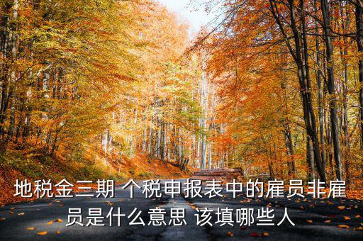 金稅四期是什么意思，地稅金三期 個稅申報表中的雇員非雇員是什么意思 該填哪些人