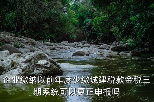 金稅三期更正申報需要什么資料，企業(yè)繳納以前年度少繳城建稅款金稅三期系統(tǒng)可以更正申報嗎