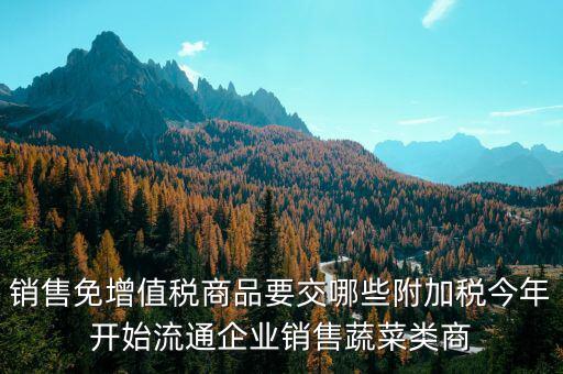 免稅商品銷售要交什么稅，銷售免增值稅商品要交哪些附加稅今年開始流通企業(yè)銷售蔬菜類商