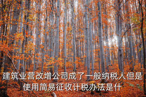 建筑業(yè)營改增公司成了一般納稅人但是使用簡易征收計(jì)稅辦法是什