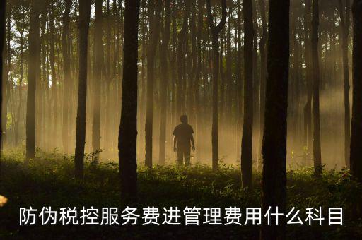 防偽稅控服務(wù)費(fèi)是什么意思，繳納電子鑰匙的年費(fèi)是防偽稅控服務(wù)費(fèi)嗎