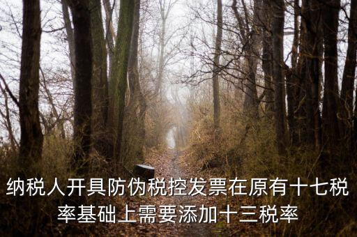 金稅卡加稅率有什么，金稅盤稅額問題