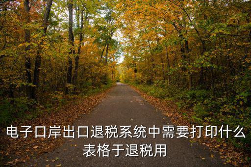 福建退稅備案的表格是什么樣的，出口退稅資格認定表