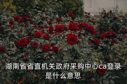 湖南省省直機關政府采購中心ca登錄是什么意思