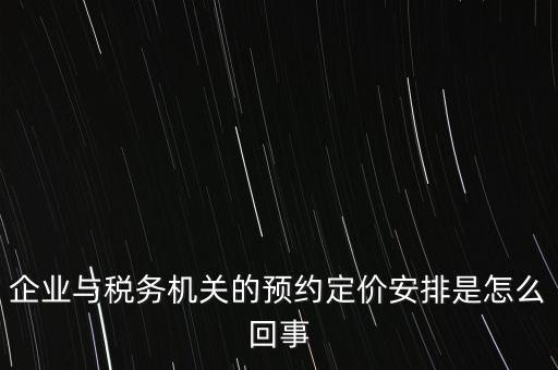 125執(zhí)行預約定價安排是什么意思，125是什么意思
