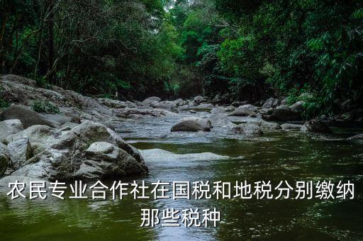 稅務(wù)局向合作社收取什么稅，農(nóng)民專業(yè)合作社在國(guó)稅和地稅分別繳納那些稅種