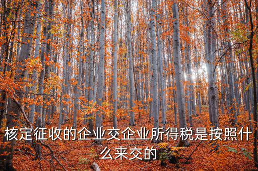 核定稅稅率是按照什么作參照的，稅率按照哪個(gè)來定