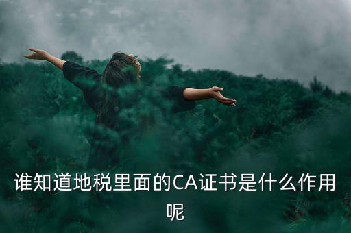 稅務(wù)企業(yè)ca登錄是什么意思，網(wǎng)上報稅CA驗證系統(tǒng)是甚么