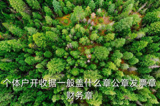 個(gè)體戶的定額發(fā)票蓋什么章，個(gè)體戶的定額發(fā)票上蓋的個(gè)體戶章能用嗎