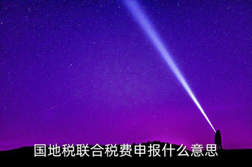 國稅地稅聯(lián)合有什么用，國地稅聯(lián)合稅費(fèi)申報什么意思