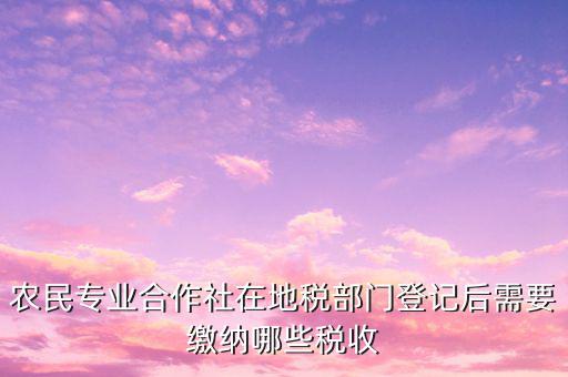 農(nóng)民專(zhuān)業(yè)合作社在地稅部門(mén)登記后需要繳納哪些稅收