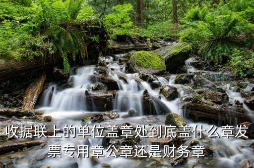 收據(jù)上面蓋什么章，收款收據(jù)上蓋什么章是財(cái)務(wù)章還是公章