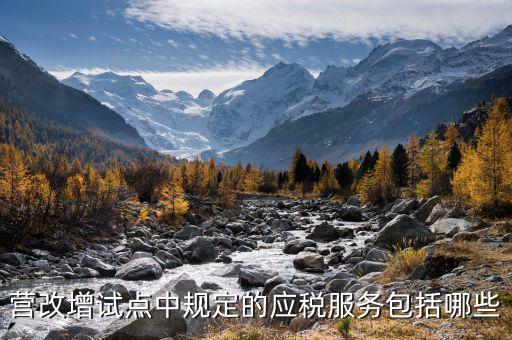 應(yīng)稅服務(wù)中止指什么，小規(guī)模申報表中應(yīng)稅服務(wù)什么意思