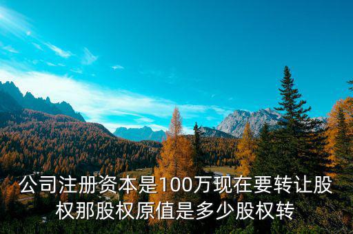公司注冊資本是100萬現在要轉讓股權那股權原值是多少股權轉
