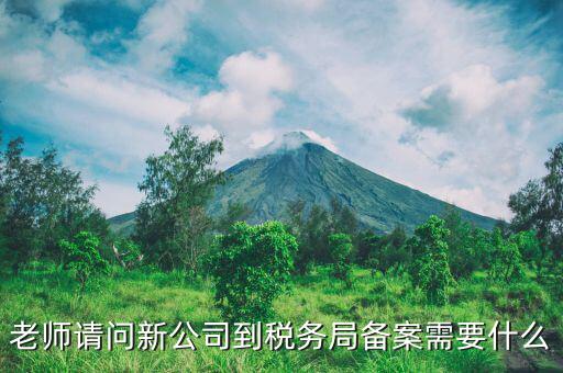 稅務報備需要什么材料，稅務備案需要哪些資料