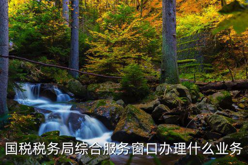 國(guó)稅大廳辦理什么業(yè)務(wù)，辦稅大廳都做些什么事