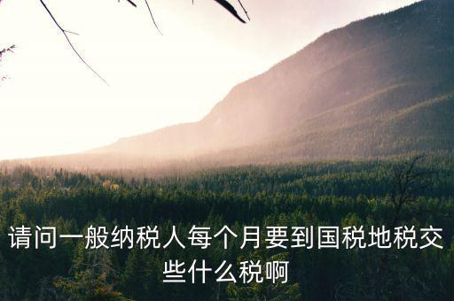 請(qǐng)問一般納稅人每個(gè)月要到國稅地稅交些什么稅啊