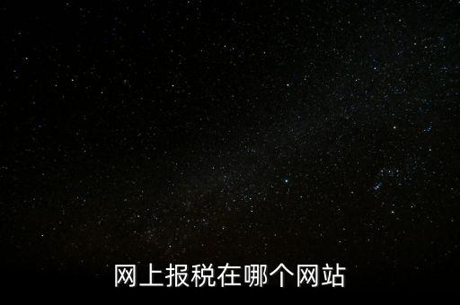 廣西網(wǎng)上辦稅的網(wǎng)址是什么意思，網(wǎng)上報稅在哪個網(wǎng)站