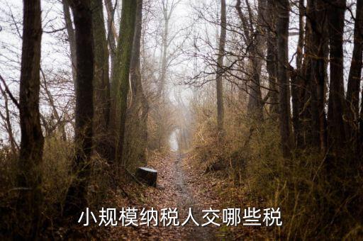 小規(guī)模都交什么稅，小規(guī)模納稅人要交什么稅