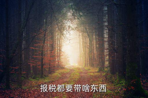 大連國(guó)稅局報(bào)稅帶什么東西，報(bào)稅都要帶啥東西