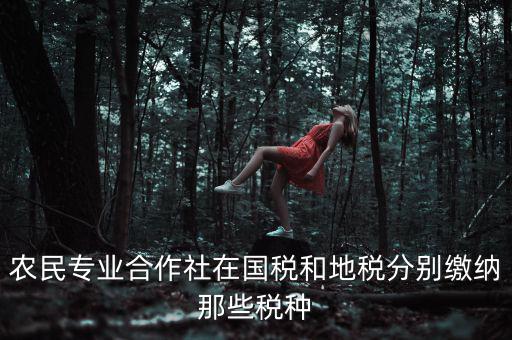 農(nóng)民專(zhuān)業(yè)合作社在國(guó)稅和地稅分別繳納那些稅種