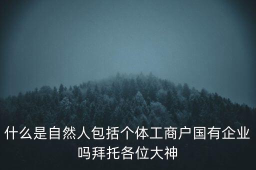 什么是稅務(wù)中的自然人，會(huì)計(jì)中自然人所指的是那種人