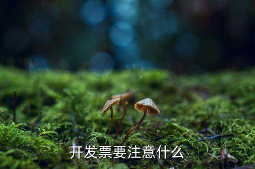 第一次開票注意什么，開發(fā)票要注意什么