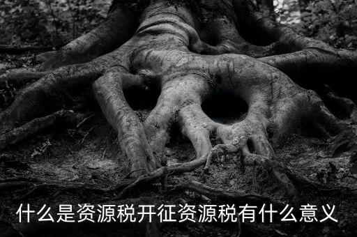 為什么開(kāi)證資源稅，什么是資源稅開(kāi)征資源稅有什么意義