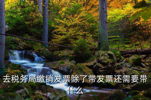 發(fā)票繳銷需要什么，未使用的發(fā)票如何繳銷需要哪些資料