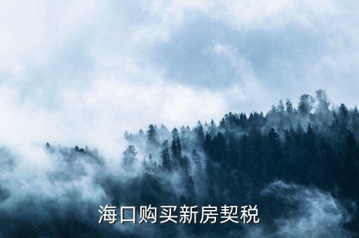 ?？谫徺I新房契稅